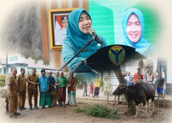 Momen Menyentuh di Jambi: Hj Hesnidar Haris Salurkan Sapi Kurban, Warga Sebut Bantuan Ini Sangat Berarti