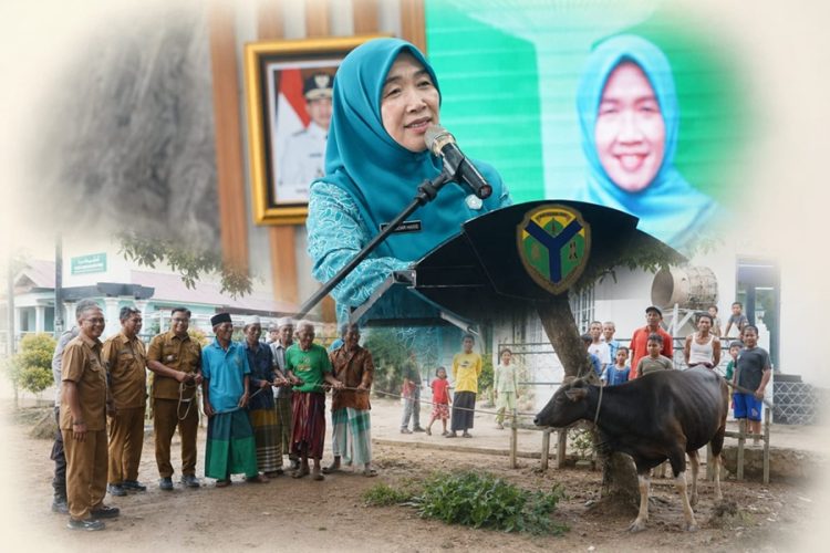 Momen Menyentuh di Jambi: Hj Hesnidar Haris Salurkan Sapi Kurban, Warga Sebut Bantuan Ini Sangat Berarti