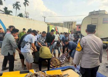 Tragis! Sopir Tangki CPO PT Pelita Tewas Terlindas Mobil Sendiri Saat Istirahat di Bawah Kendaraan di Muaro Jambi