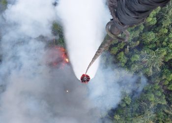Satgas Karhutla Jambi Apresiasi Peran Aktif PT WKS dalam Penanganan Karhutla