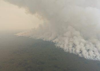 36 Hari Berjibaku di Gambut, Tim Gabungan Akhirnya Tembus Jalur Menuju Titik Api TNBS